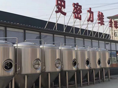 安图精酿啤酒设备厂—市场规模与跨界新需求